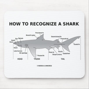 How To Recognise A Shark (Biology Humour) Mouse Mat