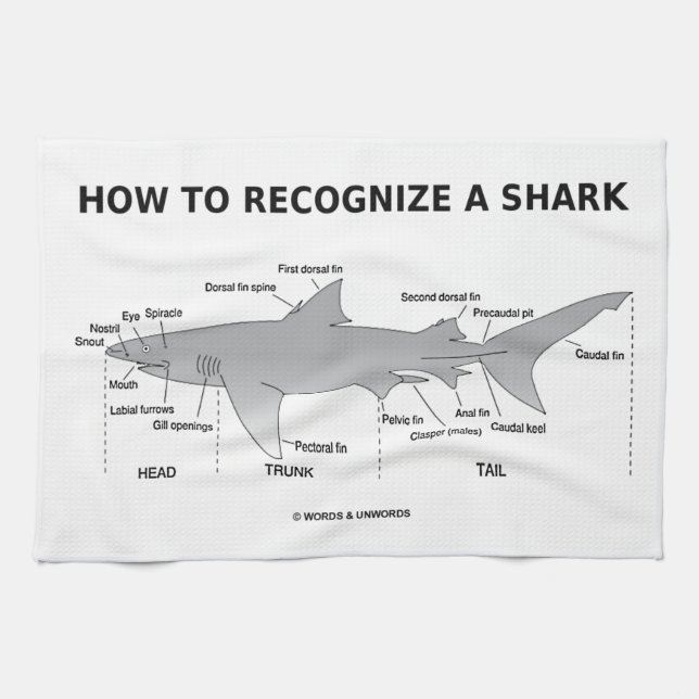How To Recognise A Shark (Biology Humour) Tea Towel (Horizontal)