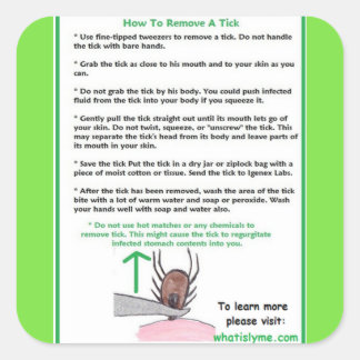 How to Remove a Tick Instructions Card for Lyme Square Sticker