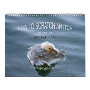 HOW TO SCRATCH AN ITCH by A. Grey Duck 2025 Calendar