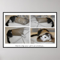 How to ship your cat in an envelope...funny print