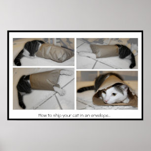 How to ship your cat in an envelope...funny  print