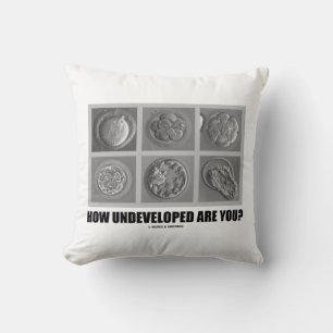 How Undeveloped Are You? Embryos / Zygotes Cushion