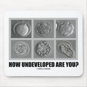 How Undeveloped Are You? Embryos Zygotes Mouse Mat