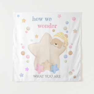 How We Wonder Baby Gender Reveal Teddy Bear Tapest Tapestry