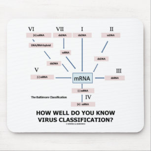 How Well Do You Know Virus Classification? Mouse Mat