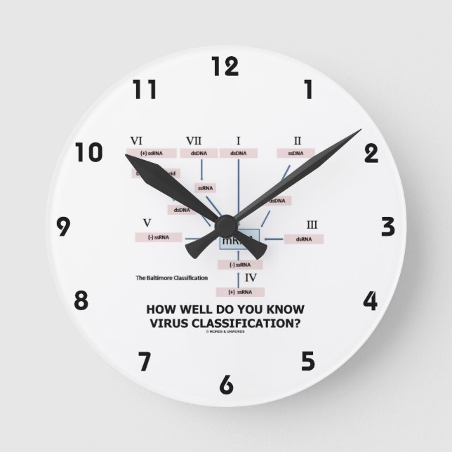How Well Do You Know Virus Classification? Round Clock (Front)