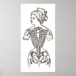 How Women Suffer for Beauty: The Impact of Corsets Poster