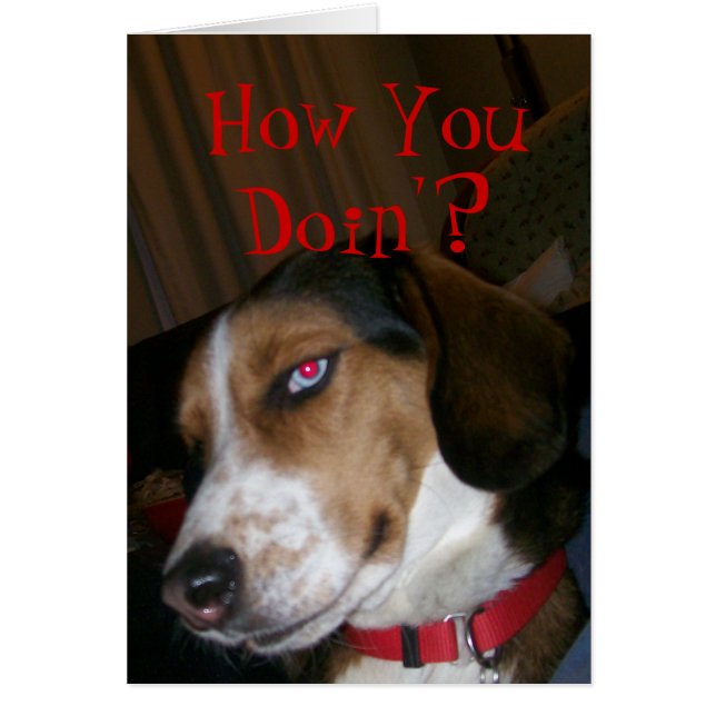 How You Doin'? (Front)