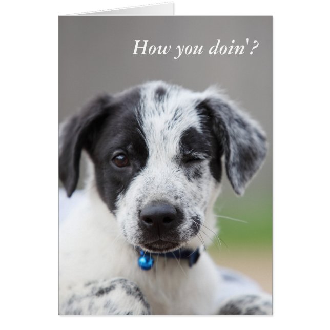 How you doin'? (Front)