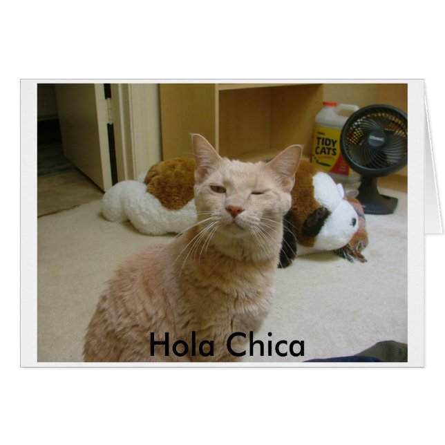 How you doin?, Hola Chica (Front Horizontal)