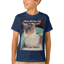 How you feline? Boy's T-Shirt