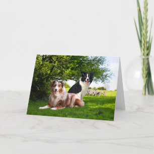 "Howdy & Buckeroo" Greeting  Card