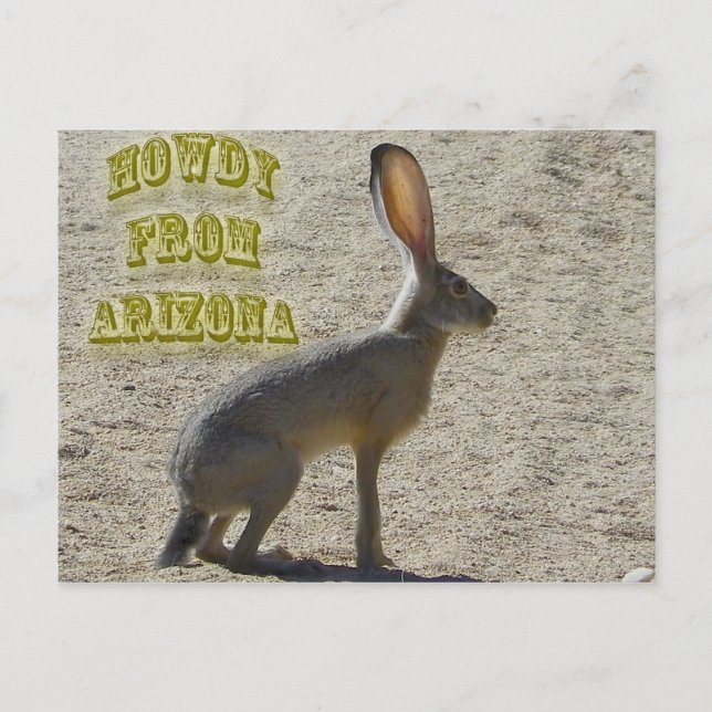 Howdy From Arizona Postcard (Front)