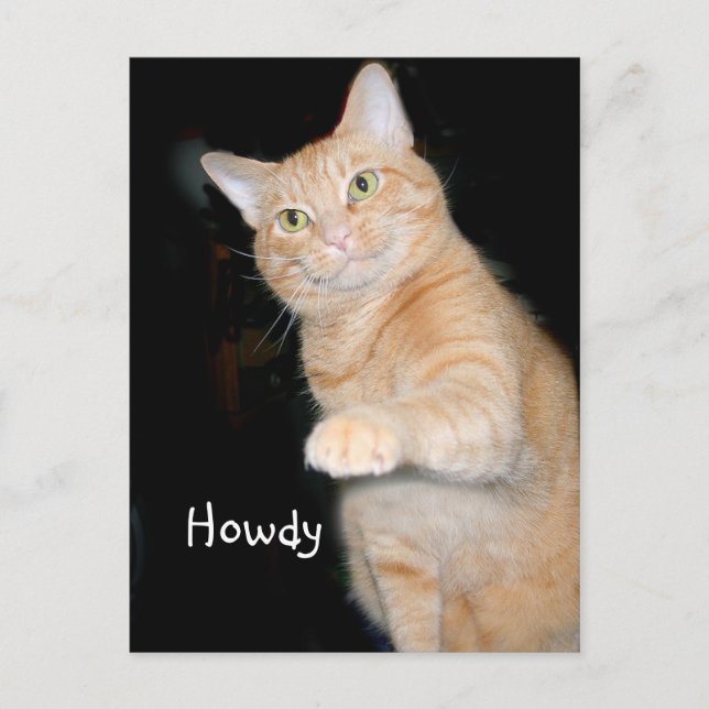 Howdy Postcard (Front)