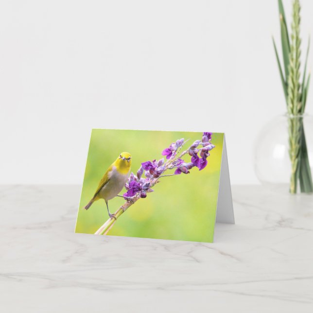 Howdy/Yellow Bird on Purple Flowering Branches Holiday Card (Front)