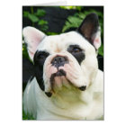 Howgillhounds cards French Bulldog Susan