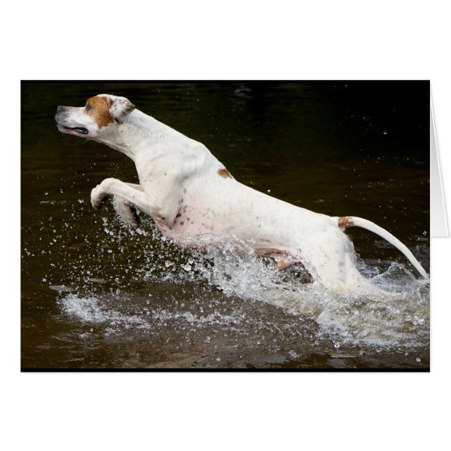 Howgillhounds cards Pointer (Front Horizontal)