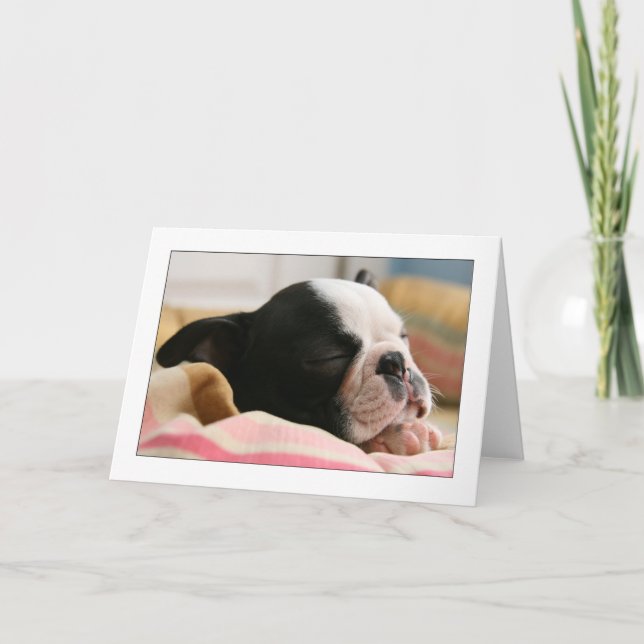 Howie Sleeping Card (Front)