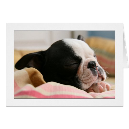 Howie Sleeping Card