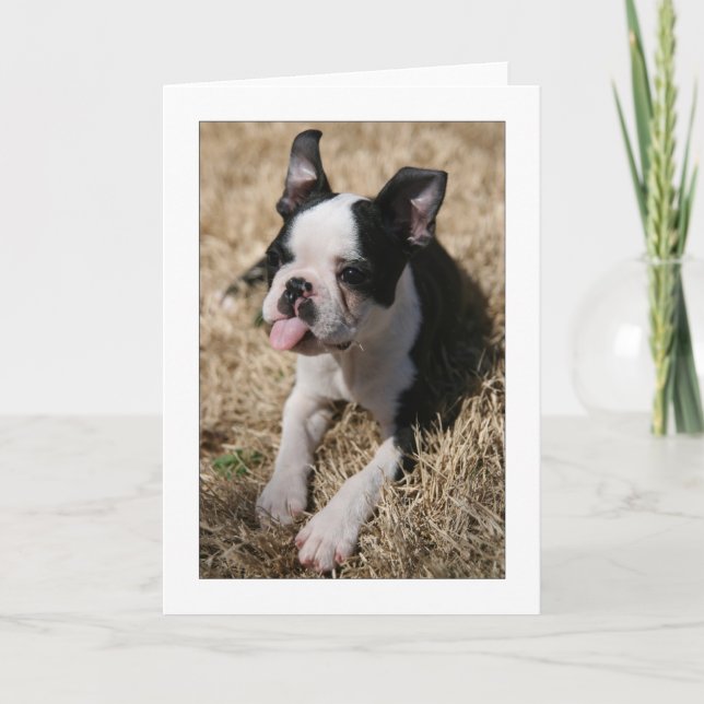 Howie Sticks His Tongue Out Card (Front)