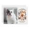 Howl-O-Ween Pet Halloween Photo Card