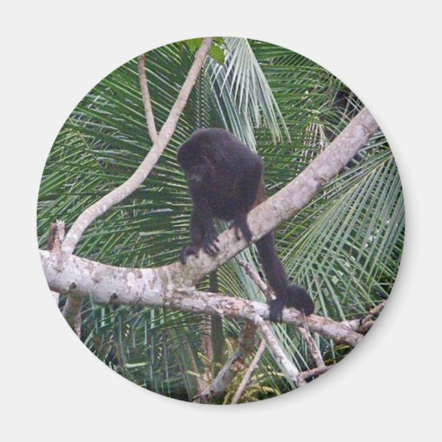 Howler Monkey and Baby Monkey in Costa Rica Jungle Magnet (Front)