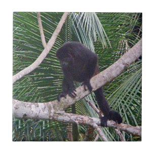 Howler Monkey and Baby Monkey in Costa Rica Jungle Tile