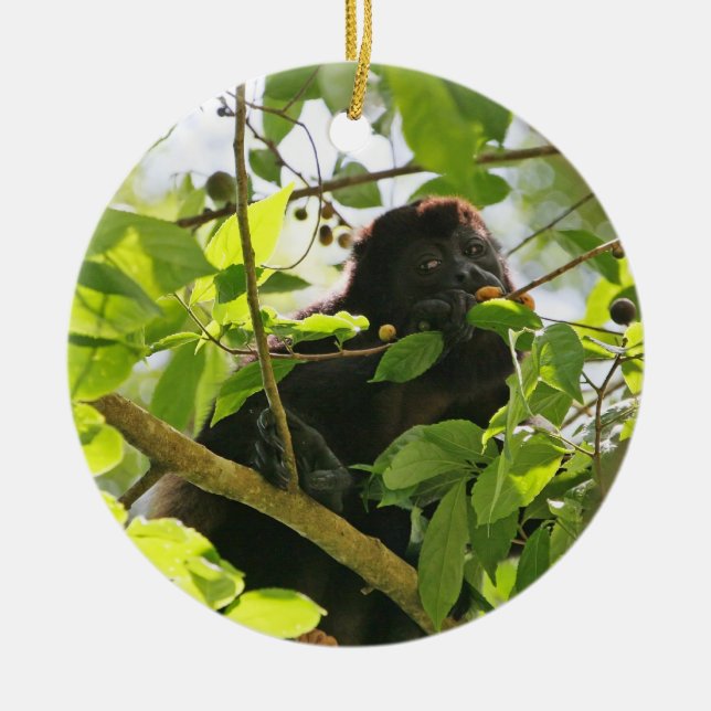 Howler Monkey Eating in the Jungle Ceramic Tree Decoration (Front)