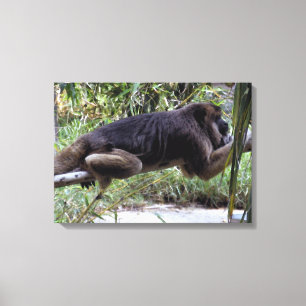 Howler Monkey Hangout Canvas Print