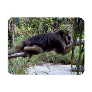 Howler Monkey Hangout Magnet