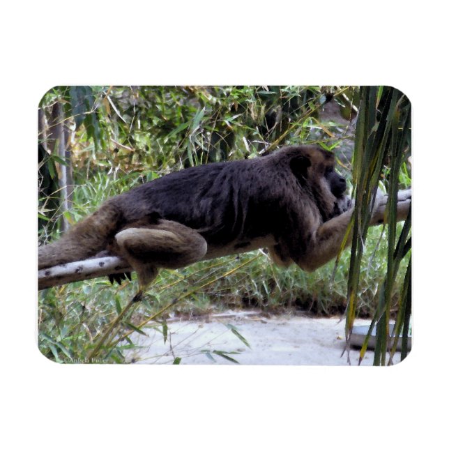 Howler Monkey Hangout Magnet (Horizontal)