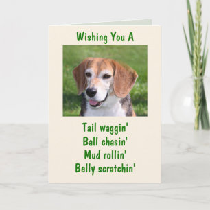 Howlin' Beagle Happy Birthday Card