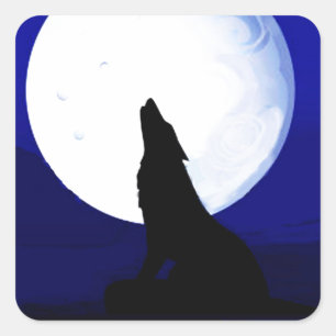 Howlin Coyote - Tucson Arizona Square Sticker