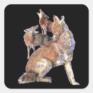 Howling Coyote Pack, Animal, Nature  Wildlife Square Sticker