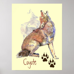 Howling Coyote Poster