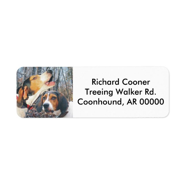 Howling Treeing Walker Coonhound (Front)