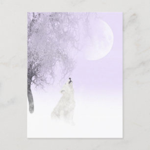 Howling white wolf postcard