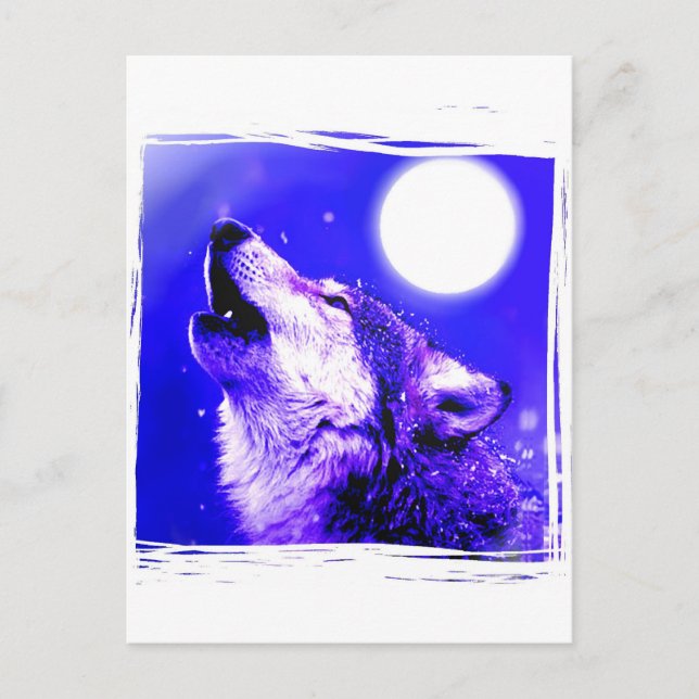 Howling Wolf Blue Moonlight Postcard (Front)