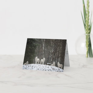 Howling Wolf Card