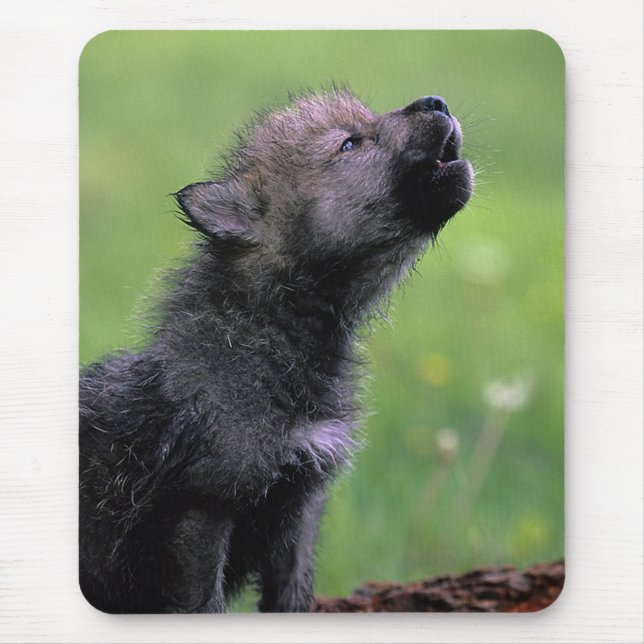 Howling Wolf Cub Mouse Mat (Front)