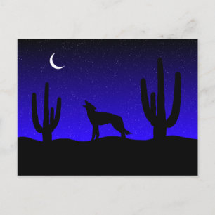 Howling Wolf Desert Night Silhouette Postcard