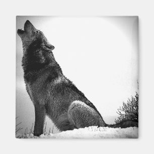 Howling Wolf in Snow Magnet