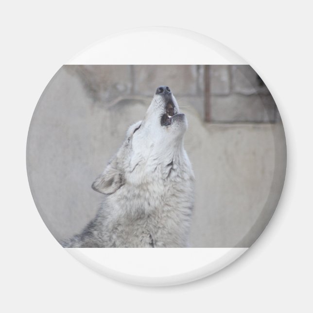 Howling Wolf Magnet (Front)