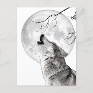 Howling Wolf, Moon, Gothic, Nature Postcard