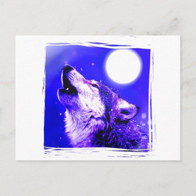 Howling Wolf Postcard (Front)