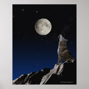 Howling Wolf Poster