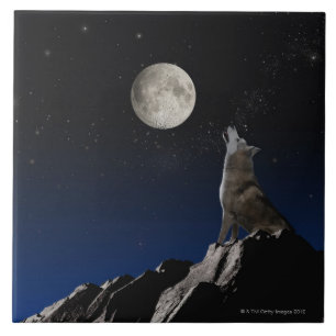 Howling Wolf Tile