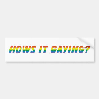 hows it gaying bumper sticker