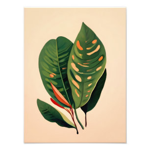 Hoya Art: Tropical Leaf Paradise Photo Print